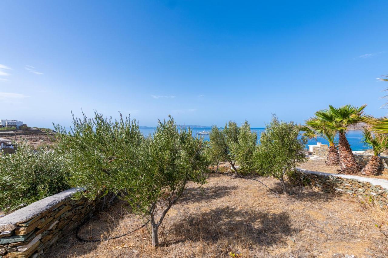 Aegean Dream Apartments Tínos Extérieur photo