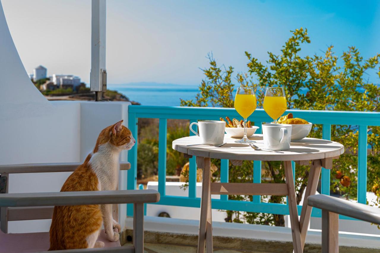Aegean Dream Apartments Tínos Extérieur photo